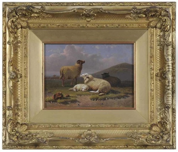 Sheep Oil Painting - Arthur Fitzwilliam Tait