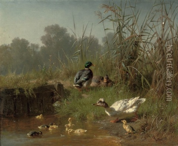Ducks And Ducklings In A Pond Oil Painting - Carl Jutz the Elder
