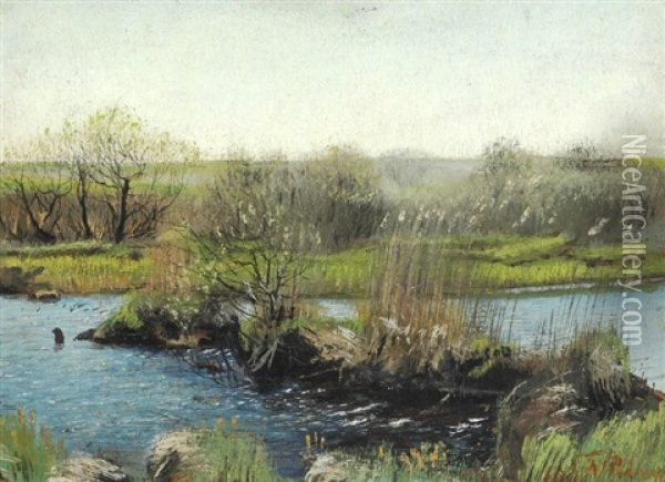 Marsh Near Hedehusene Oil Painting - Laurits Andersen Ring
