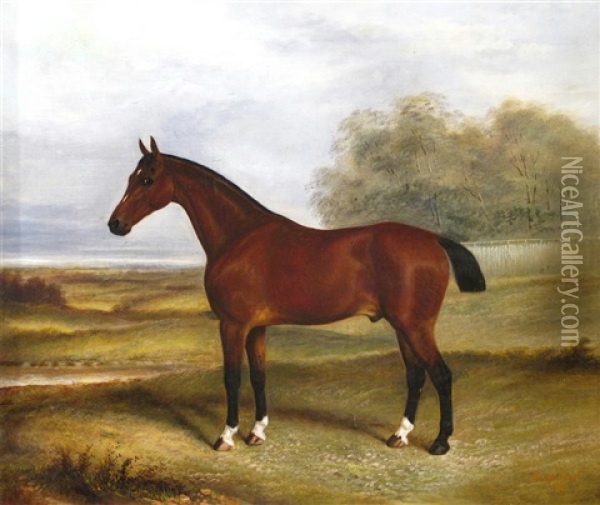 Saucy Boy, A Hunter In A Landscape Oil Painting - Albert Clark