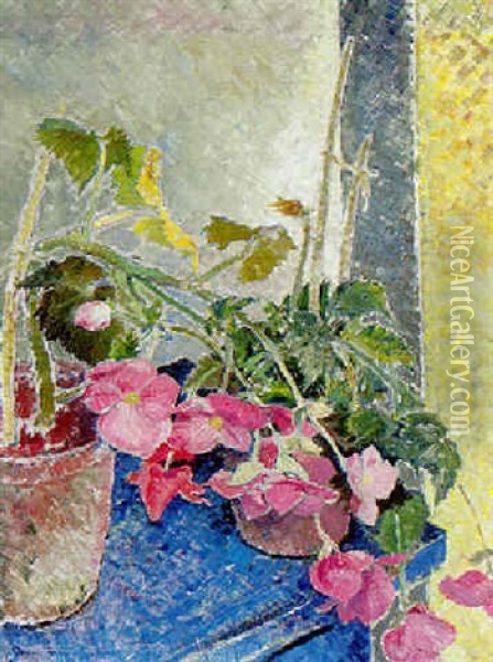 Begonias On A Blue Table Oil Painting - Glyn Warren Philpot