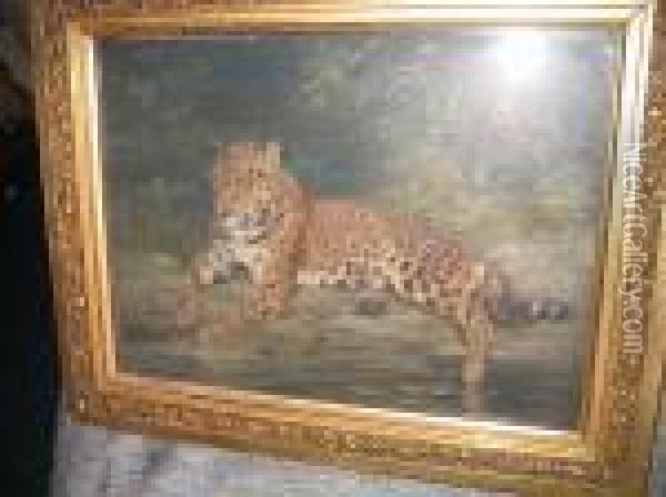 A Leopard Oil Painting - William Walls