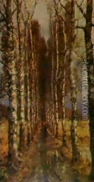 Avenue Of Birch Trees Oil Painting - Yuliy Yulevich (Julius) Klever