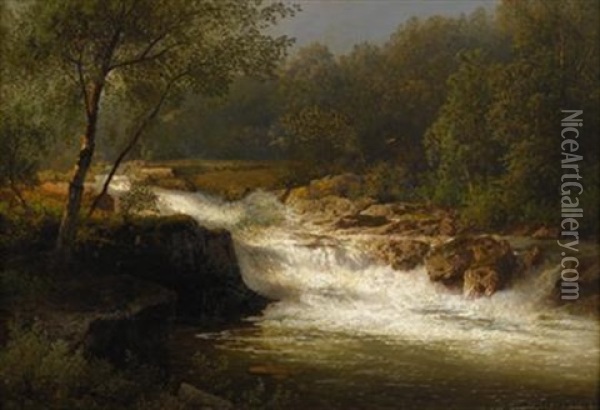 Jackson Falls, N. Hampshire Oil Painting - Hermann Herzog
