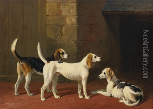 Three Fox Hounds In A Paved Kennel Yard Oil Painting - William Barraud