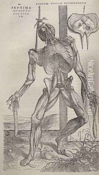 Dissected human body 1543 Oil Painting - Andreas Vesalius