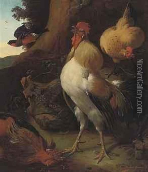 A Triumphant Cockerel Crowing Over His Victory Oil Painting - Giovanni Bonami