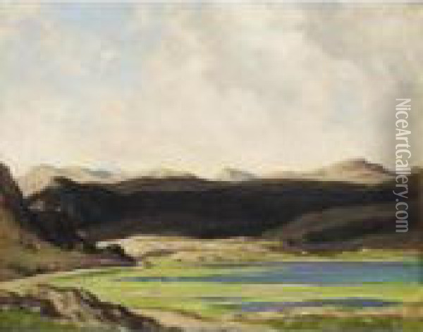 The Perthshire Hills Oil Painting - David Young Cameron
