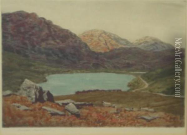 A Highland Loch Oil Painting - George Houston