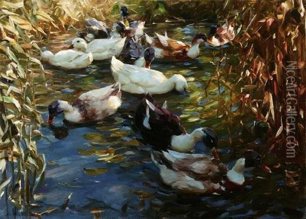 Ducks Along Riverbank Oil Painting - Alexander Max Koester