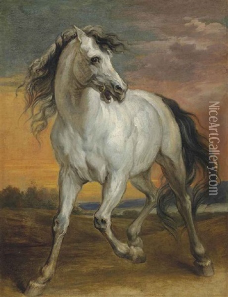 A Grey Stallion In A Landscape Oil Painting - Jan Boeckhorst