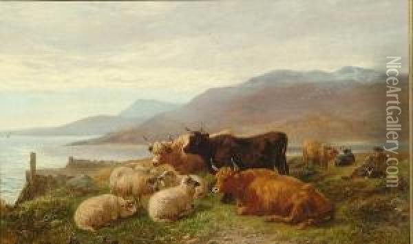 Highland Cattle And Sheep On A Coastal Hillside Oil Painting - Henry Garland
