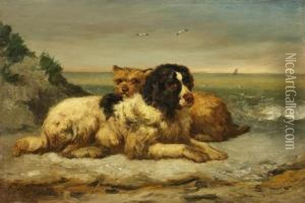 Zwei Hunde Amstrand Oil Painting - Edouard Woutermaertens