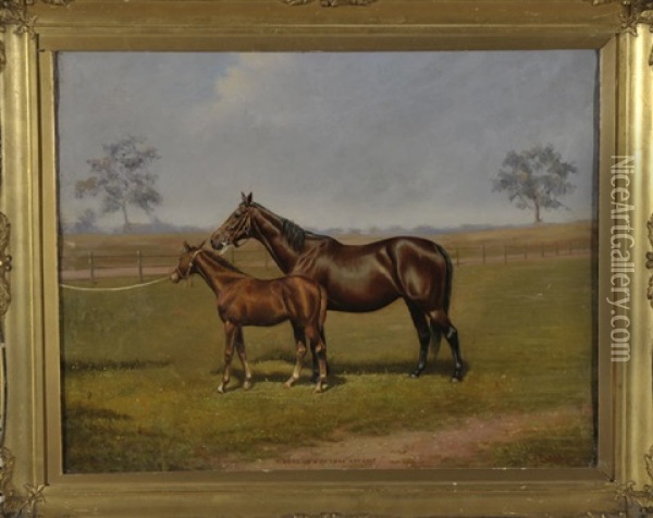Wheel Of Fortune And Colt - Stute Und Fohlen Werden Auf Der Koppel Prasentiert Oil Painting - Albert Clark