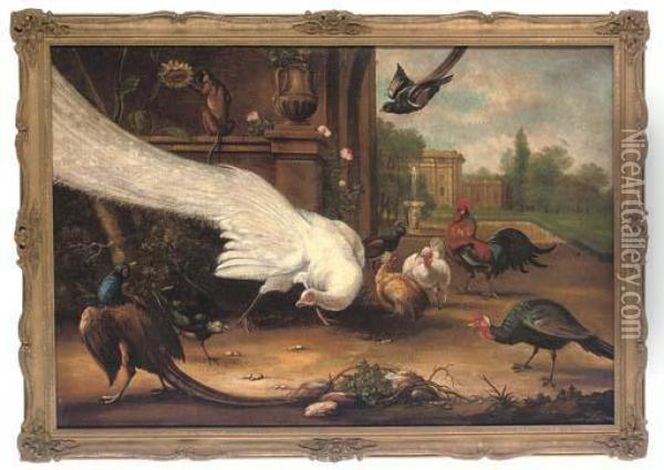 Peacock, Pheasant, Cockerel, Hens, Magpies And A Monkey In The Grounds Of A Country Estate Oil Painting - Francis Barlow
