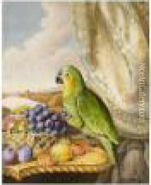 A Parrot Eating From A Bowl Of 
Grapes, Plums, Peaches And Strawberries, A River Landscape Beyond Oil Painting - Augusta Innes Withers