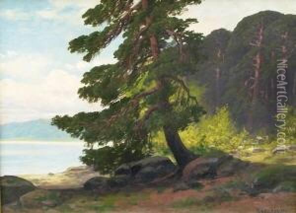 Kiefernbestandene Uferlandschaft Oil Painting - Rudolf Hellgrewe