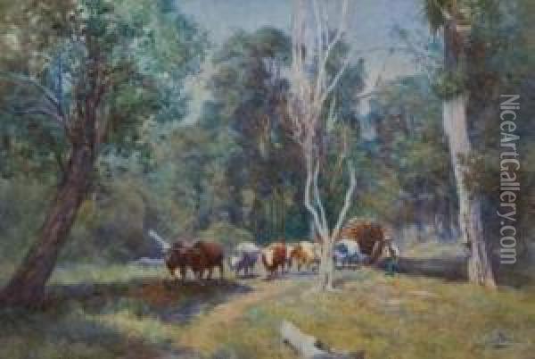 Bullocks Carting Wood, Central North Island Oil Painting - Charles Nathaniel Worsley