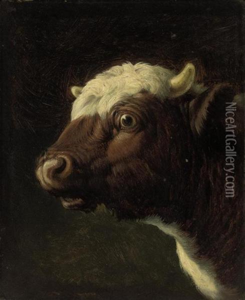 A Bull's Head Oil Painting - Eugene Joseph Verboeckhoven