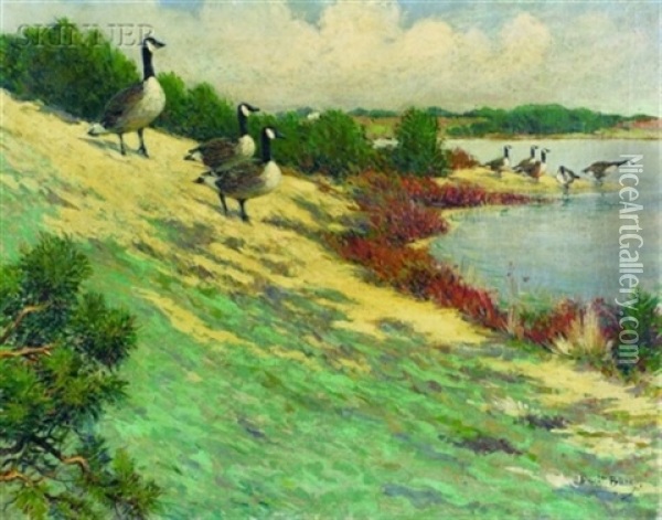 Geese At Eastham Oil Painting - Dwight Blaney