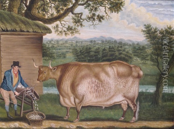 A Farmer Feeding His Prize Bull With A Mangelwurlitzer Oil Painting - Thomas Weaver