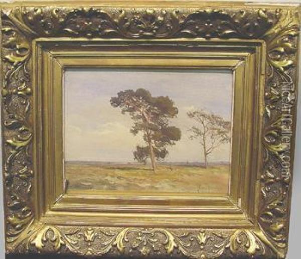 Tree In Landscape Oil Painting - Jan Willem Van Borselen