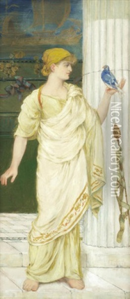 Classical Maiden Holding A Bird Oil Painting - Thomas Ralph Spence