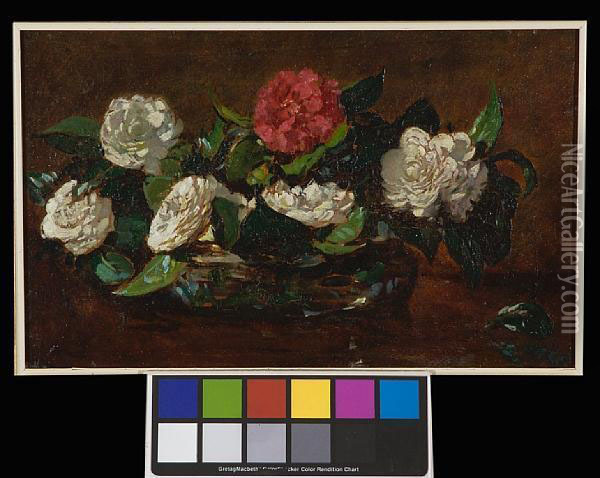 Vase Of Camellias Oil Painting - Robert Gwelo Goodman