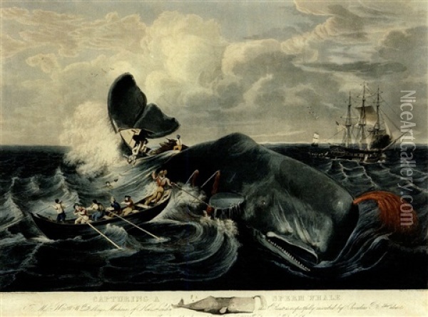 Capturing A Sperm Whale (from A Sketch By C.b. Hulsart) Oil Painting - William Page