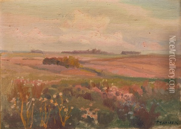 Summer Landscape Oil Painting - Teodor Ziomek