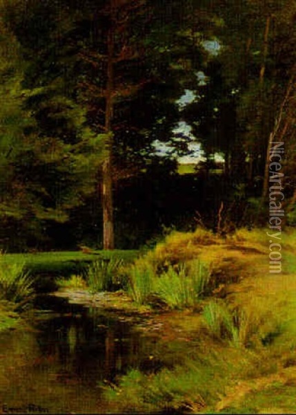 Deep In The Woods Oil Painting - Ernest Parton