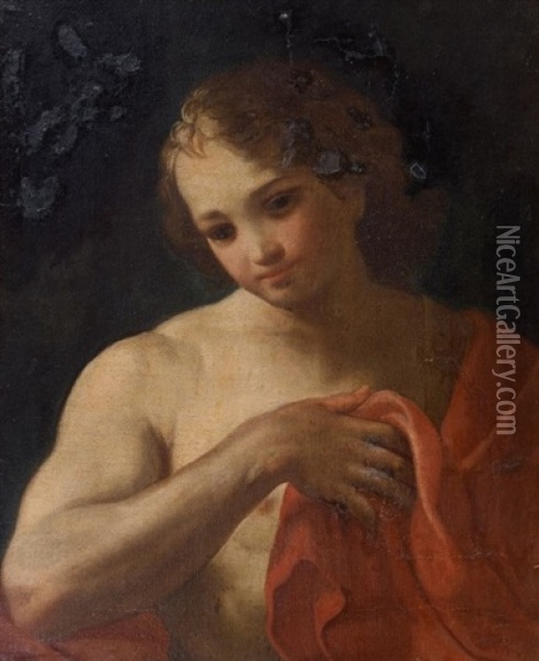 Buste De Jeune Homme Oil Painting - Gaetano Gandolfi