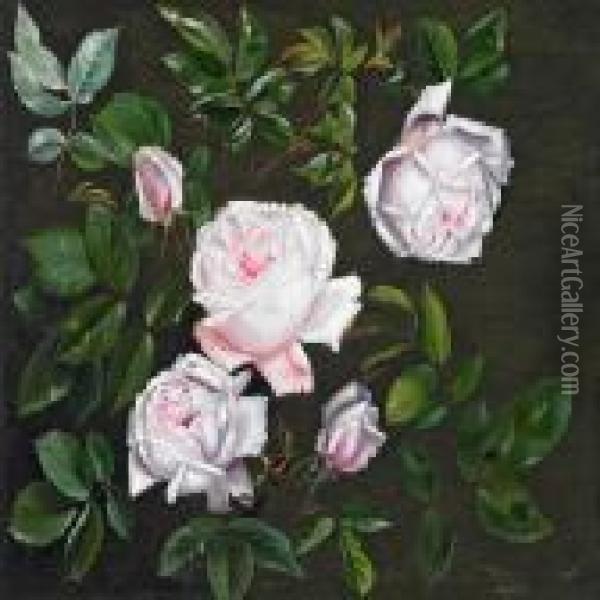 Pink Roses On A Branch Oil Painting - I.L. Jensen