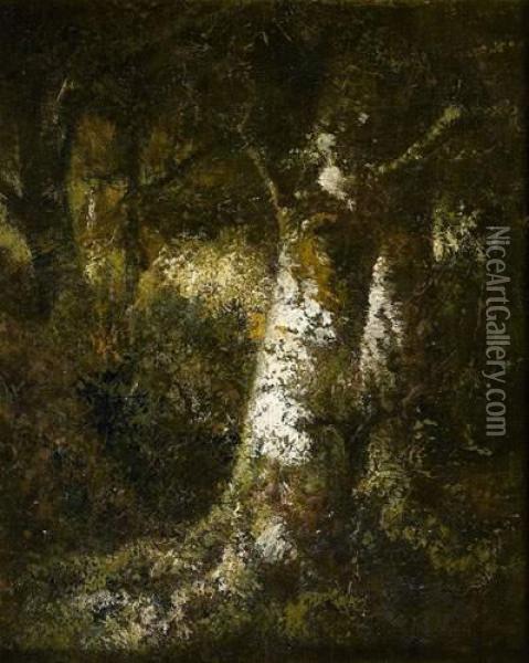 Etude De Tronc D'arbre Oil Painting - Narcisse-Virgile D Az De La Pena