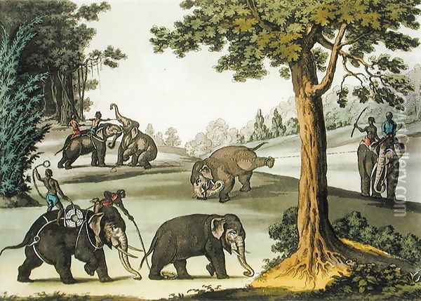 Capturing Elephants in Burma, plate 76 from Le Costume Ancien et Moderne by Jules Ferrario, published c.1820s-30s Oil Painting - Gaetano Zancon