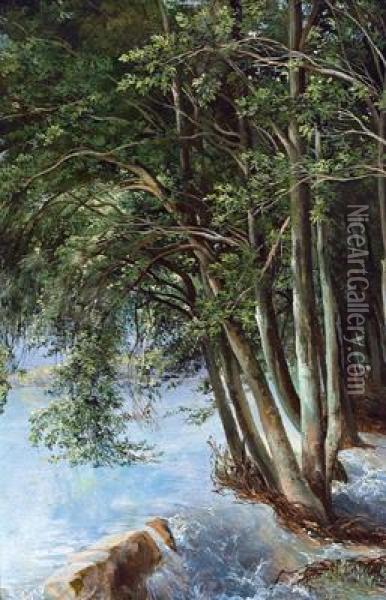 Waldstudie Mit Uberschwemmtem Ufer Oil Painting - Alexandre Calame