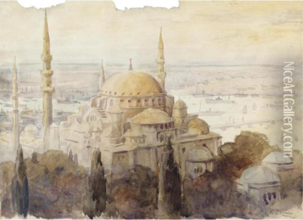 Costantinopoli, La Moschea Di Suleymaniye Oil Painting - Fausto Zonaro