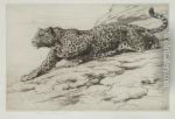 Leopard Oil Painting - Herbert Thomas Dicksee