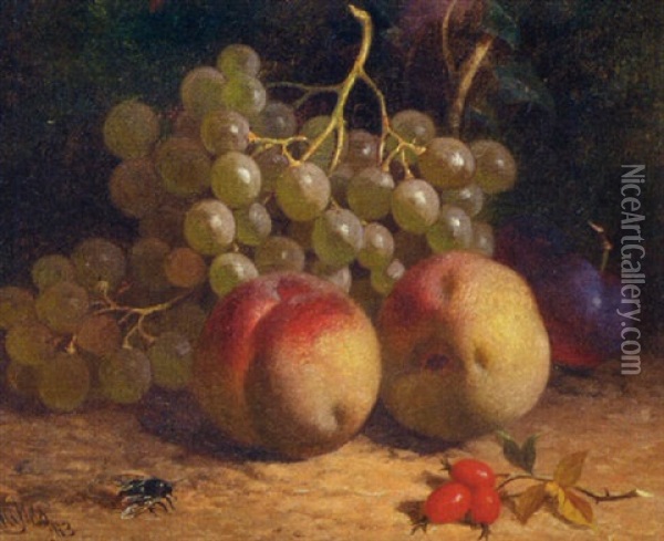 Still Life Of Peaches, Grapes, Plums, Rosehips And A Fly, On A Mossy Bank Oil Painting - William Hughes