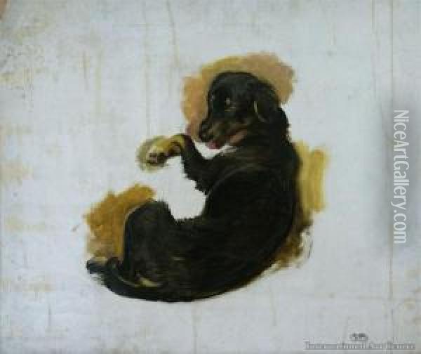 Study Of A Dog Oil Painting - Briton Riviere