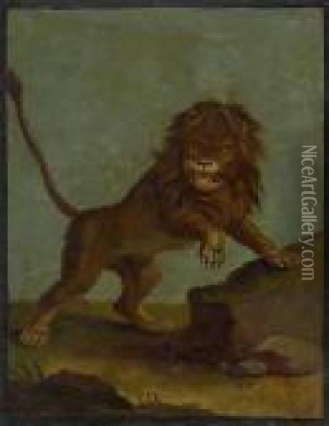 Study Of A Lion Oil Painting - Johann Elias Ridinger or Riedinger