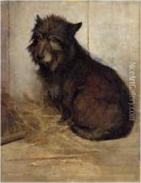 Wistfull, A West Highland Terrier Oil Painting - Samuel Fulton