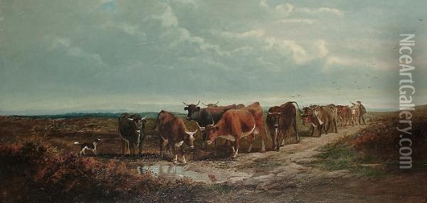 Cattle At A Pool, A Dog Nearby Oil Painting - Henry Charles Woollett