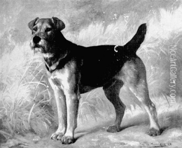 Portrait Of A Welsh Terrier Oil Painting - Gustav Muss-Arnolt