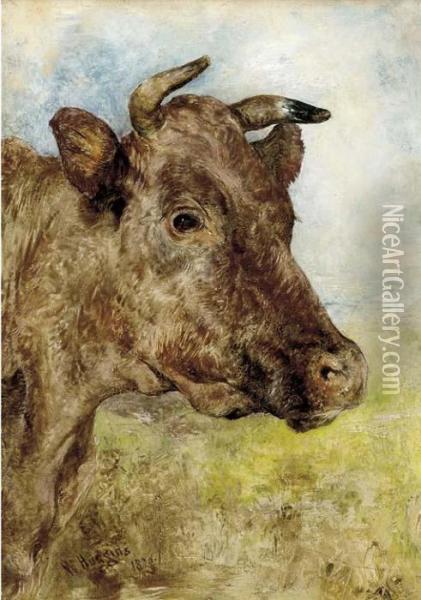 The Head Of A Cow Oil Painting - William Huggins