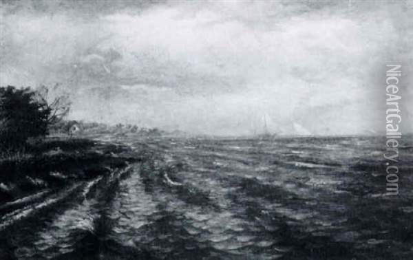 Edge Of Pontchartrain From Mandeville Oil Painting - August Norieri