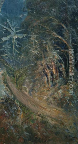 Adark Forest Oil Painting - Elias Muukka