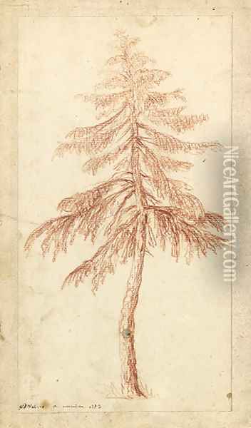 A fir tree Oil Painting - Pierre-Henri de Valenciennes