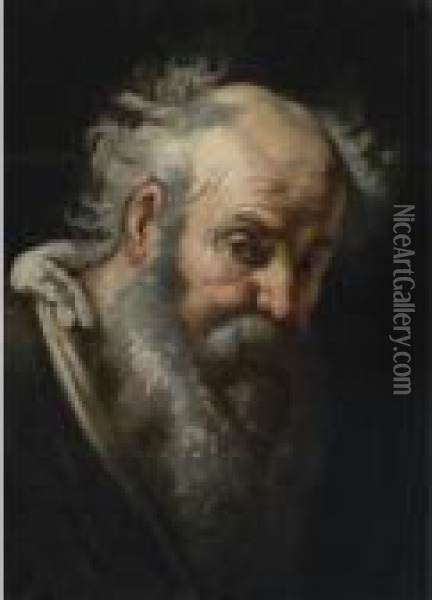 Head Of A Bearded Man Oil Painting - Bernardo Strozzi