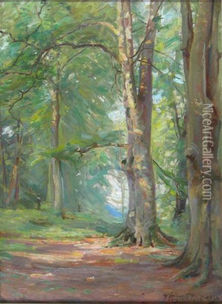 In Slindon Woods, South Downs, Sussex Oil Painting - Robert Payton Reid
